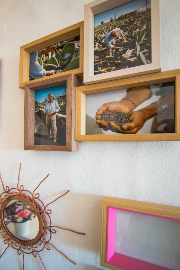 Casa Mi Tio Perico Guest House มาล่า ภายนอก รูปภาพ